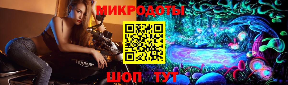 Псилоцибиновые грибы мицелий Саяногорск